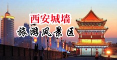 我要看俄罗斯特级操逼网中国陕西-西安城墙旅游风景区